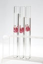 Identical Flowers in test tubes Royalty Free Stock Photo