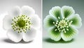 Identical Flowers on White Background, Made with Generative AI