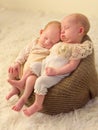 Identical twin babies Royalty Free Stock Photo