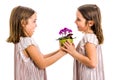 Identical twin girl giving viola flower pot to her sister