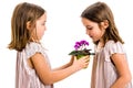 Identical twin girl giving viola flower pot to her sister