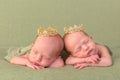 Identical twin princesses Royalty Free Stock Photo