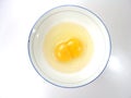 Identical Twins Egg White Yolk