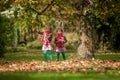 Identical twins having fun with autumn leaves in the park, blond cute curly girls, happy kids, beautiful girls in pink jackets Royalty Free Stock Photo