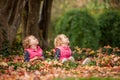 Identical twins having fun with autumn leaves in the park, blond cute curly girls, happy kids, beautiful girls in pink jackets Royalty Free Stock Photo