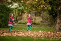 Identical twins having fun with toys and leaves in autumn in the park, blond cute curly girls, happy girls,beautiful girls in pink Royalty Free Stock Photo
