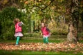 Identical twins having fun with toys and leaves in autumn in the park, blond cute curly girls, happy girls,beautiful girls in pink Royalty Free Stock Photo