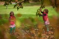 Identical twins having fun with toys and leaves in autumn in the park, blond cute curly girls, happy girls,beautiful girls in pink Royalty Free Stock Photo