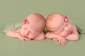 Identical twins with headbands Royalty Free Stock Photo