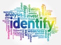 Identify word cloud collage Royalty Free Stock Photo