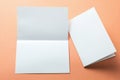 Identity design, corporate templates, company style, blank white folding paper flyer isolated on orange background, mock-up