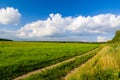 Idilic rural landscape