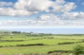 Idillic landscape with sheep, lambs, ram on a perfect juicy green grass fields and hills near ocean, Cornwall, England, UK Royalty Free Stock Photo