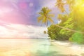 Idillyc background of tropical beach - calm ocean, palm trees, blue sky Royalty Free Stock Photo