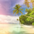 Idillyc background of tropical island beach - calm ocean, palm trees, blue sky Royalty Free Stock Photo