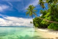 Idillyc landscape of tropical beach - calm ocean, palm trees, blue sky Royalty Free Stock Photo