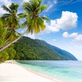 Idillyc tropical island beach - warm sea, palm trees, blue sky