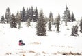 Iditarod Trail Sled Dog Race winter background