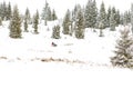 Iditarod Trail Sled Dog Race winter background Royalty Free Stock Photo