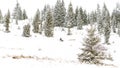 Iditarod Trail Sled Dog Race winter background Royalty Free Stock Photo