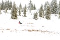 Iditarod Trail Sled Dog Race winter background