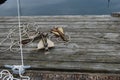 Idle Anchors on the Dock Royalty Free Stock Photo