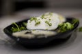 Idli garland with fresh cut coriander, south indian dish Royalty Free Stock Photo