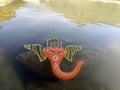 an idol of ganeshji or ganapati or ganapathi after visarjan or immersion in a river Royalty Free Stock Photo