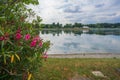 Idroscalo lake park, and beautiful flowers Royalty Free Stock Photo