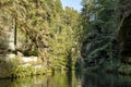 River Kamenice National Park Bohemia Switzerland