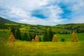 Idylic carpathian summer landscape with haystacks on a green meadow