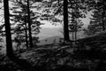 Idylic scnery: Typical Austria / Bench on the mountain with a beautiful view surrounded by trees / Holiday concept / Black and Whi Royalty Free Stock Photo