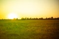 idylic summer field with grass panorama, nature landscapes during sunset