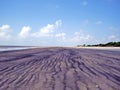 Jamtola beach, Sundarbans, Bangladesh Royalty Free Stock Photo