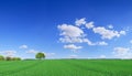 Idyll, panoramic landscape, lonely tree among green fields