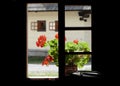Idylický pohľad cez okno s červenými kvetmi