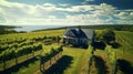 Idyllic aerial view of vineyard and villa in sunny rural landscape, ideal for farm banner