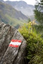 Idyllic alpine landscape at austria