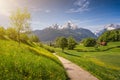 Idyllic alpine landscape with blooming meadows and snow-covered mountain tops Royalty Free Stock Photo