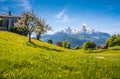 Idyllic alpine landscape with green meadows, farmhouses and snowcapped mountain tops Royalty Free Stock Photo