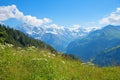 Idyllic alpine landscape Schynige Platte, switzerland, with view to Bernese Alps Royalty Free Stock Photo