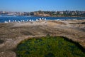 Idyllic and amazing seaside landscape of flat coast with rocks and algae water puddle in Clovelly, Sydney. Town on shore across. Royalty Free Stock Photo