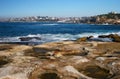 Idyllic and amazing seaside landscape of jagged coast with rocks and water puddles in Clovelly, Sydney. Town on shore across.