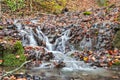 Idyllic Autumn Forrest Royalty Free Stock Photo