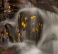 autumn leaves in the stream, as well as rocks and water Royalty Free Stock Photo