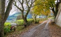 Idyllic autumnal view near Chiusa, Province of Bolzano, Trentino Alto Adige, Italy. Royalty Free Stock Photo