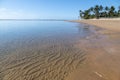 Idyllic beach with crystal clear water in Taipus de Fora, Marau, Brazil Royalty Free Stock Photo