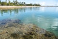 Idyllic beach with crystal clear water in Taipus de Fora, Marau, Brazil Royalty Free Stock Photo