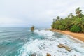Idyllic beach Manzanillo Costa Rica Royalty Free Stock Photo