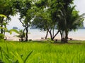 Idyllic beach near Phuket Thailand